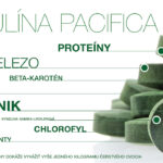 Konzumácia spiruliny a jej účinky: 10 hlavných benefitov