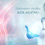 Základné zložky kolagénu - Glycín, prolín, hydroxyprolín a hydroxylyzín