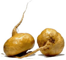 100% Maca Peruánska prémiovej kvality čistý prášok
